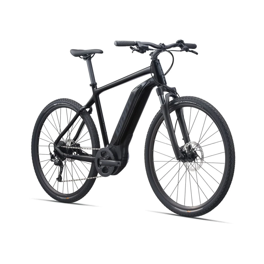 Giant Roam E+ GTS Elektrofahrrad (2022)